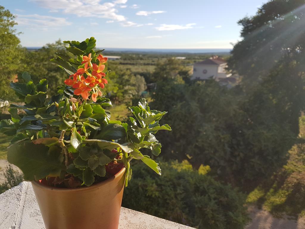 Apartman Andela Labinci Экстерьер фото